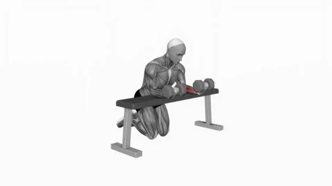 Dumbbell Over Bench Reverse Wrist Curl fitness exercise workout animation male m Video stock 243982714