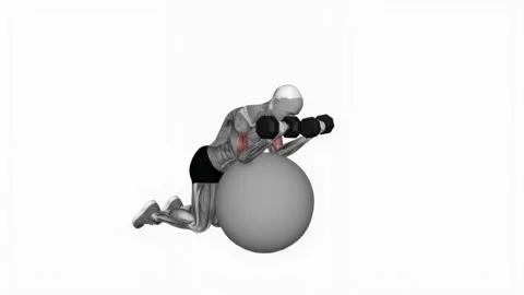 Dumbbell Preacher Curl over Exercise Ball fitness exercise workout animation mal Video stock 243985177