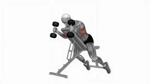 Dumbbell Prone Incline Hammer Curl Stock Video Pond5