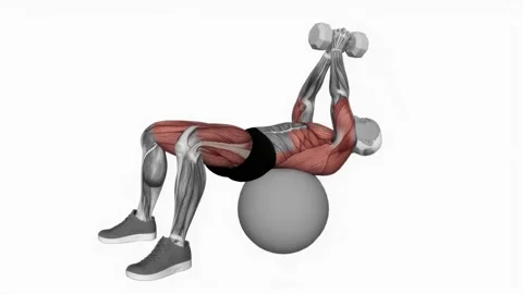 Dumbbell Pullover Hip Extension on Exercise Ball fitness exercise workout animat Vidéo 243982280