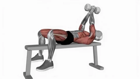 Dumbbell Pullover (VERSION 2) fitness exercise workout animation male muscle hig Видео 243983663