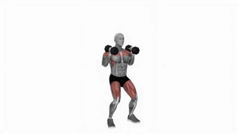 Dumbbell Push Press fitness exercise workout animation male muscle highlight 4K Vidéo 243987553