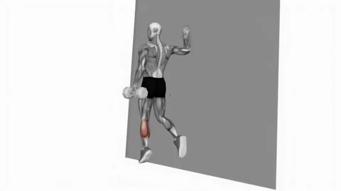 Dumbbell Single Leg Calf Raise Wall Support fitness exercise workout animation m Video stock 243989778