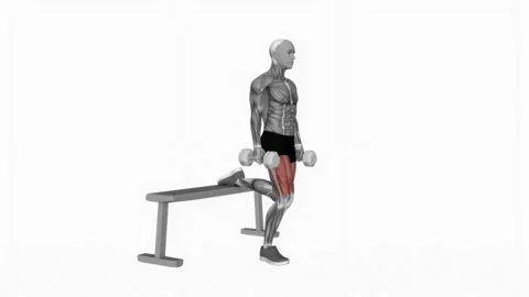 Dumbbell Single Leg Split Squat fitness exercise workout animation male muscle h 動画素材 243989789
