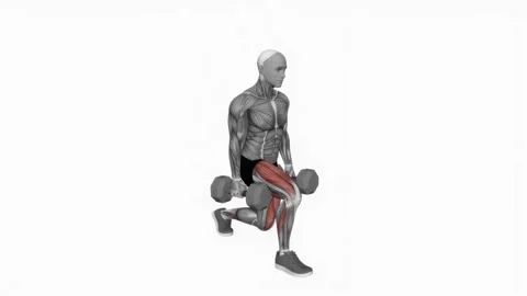Dumbbell Split Squat fitness exercise workout animation male muscle highlight 4K 動画素材 243989843