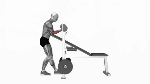 Dumbbell Standing One Arm Curl Over Incline Bench fitness exercise workout anima Video stock 243985236
