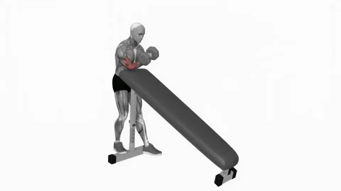 Dumbbell Standing One Arm Curl (over incline bench) fitness exercise workout ani Video stock 243985239