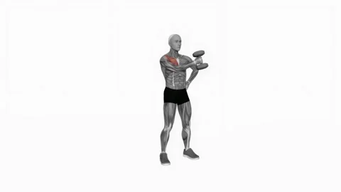 Dumbbell Standing Single Arm Cross Raise fitness exercise workout animation male Видео 243986147