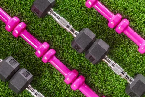 Dumbbells on the grass. Stock Photos