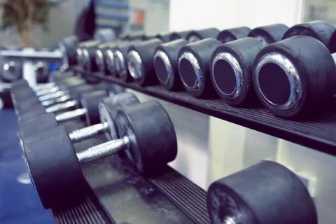 Dumbbells on shelf 스톡 사진