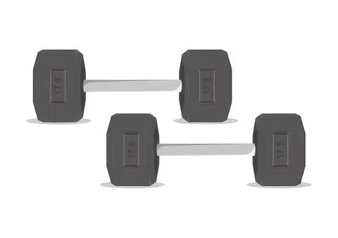 Dumbbells with weights on a bar for strength training Stock Illustration