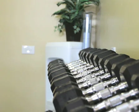 Dumbell Rack Video stock 947890