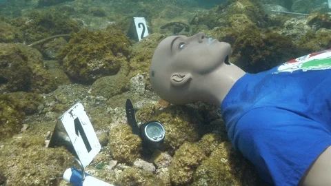 Dummy close up on the seabed, Ustica, Sicily, Mediterranean sea Stock Footage 124129852