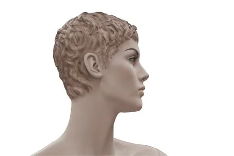 Dummy on white Stock Photos