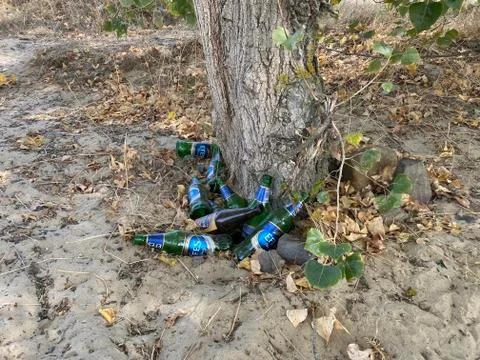 Dump of beer bottles under a tree on beach. Garbage in nature. Environmental Stock Photos