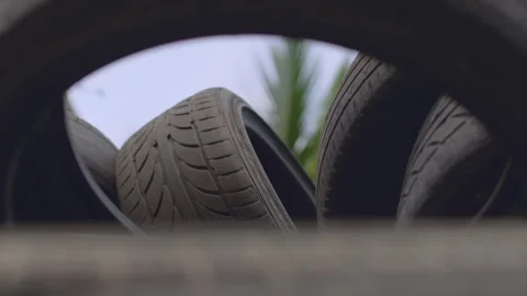 A dump of black tires with a palm tree in the background, a lot of rubber tires Видео 256064685