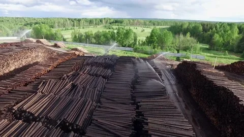 The dump of burnt logs is doused with water Stock Footage 159516058