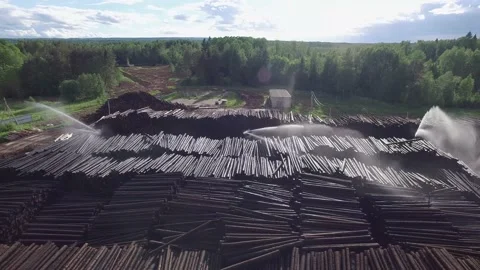 The dump of burnt logs is doused with water Stock Footage 159516059