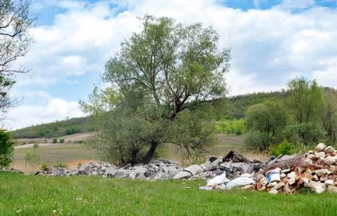 Dump of construction and household garbage in the forest. Stock Photos