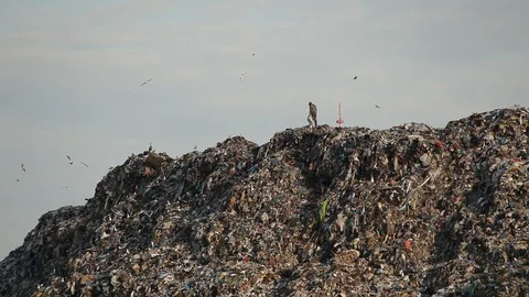 Dump. Ecology concept. Video stock 96003704