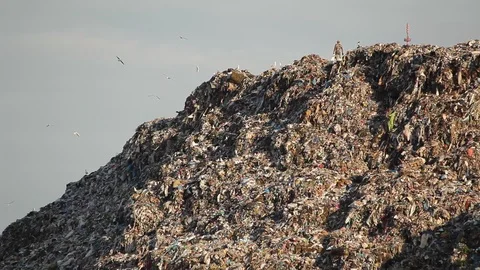 Dump. Ecology concept. Video stock 96003822
