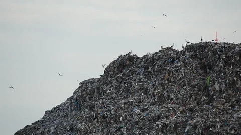 Dump. Ecology concept. Stock Footage 96003854