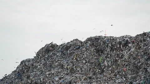Dump. Ecology concept. Stock Footage 96003866