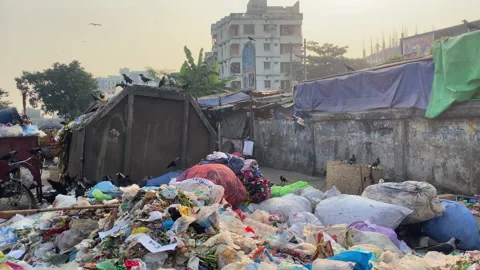 Dump full of garbage of various objects as crows fly on the streets of Stock Footage 171219411