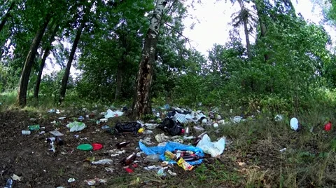 Dump garbage in the forest, environmental pollution, sunny summer meadow Stock Footage 66261088