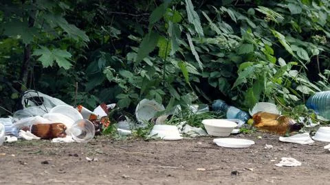 Dump garbage in the forest Stock Photos