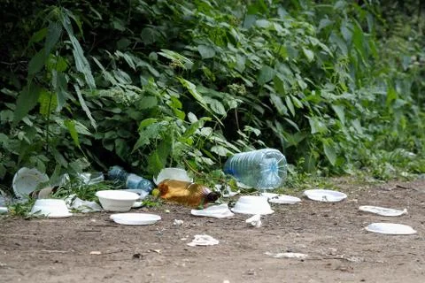 Dump garbage in the forest Stock Photos