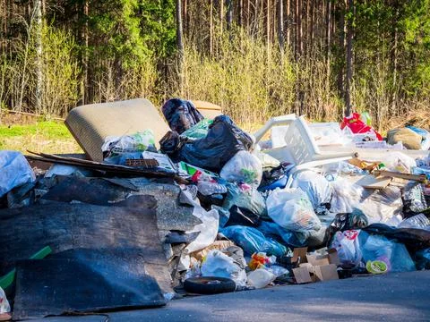 Dump, garbage in the nature, ecological disasters in the forest Stock Photos