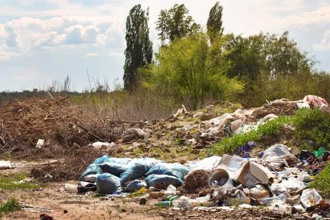 Dump garbage near the forest Stock Photos