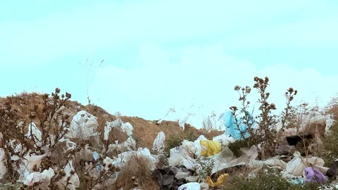 Dump garbage outside the city Stock Footage 70358066