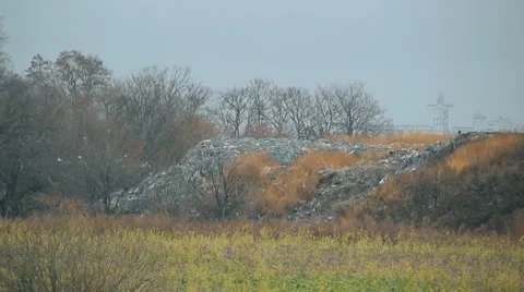 Dump, garbage, waste 002 Stock Footage 10565913