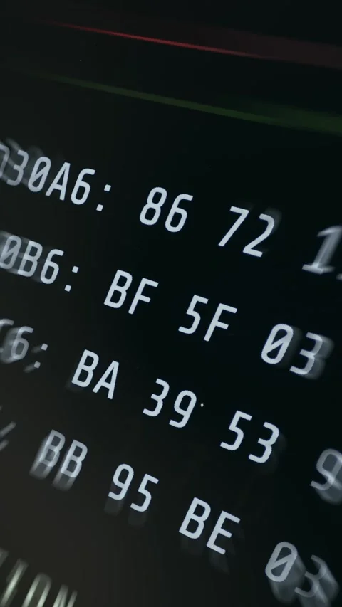Dump of hexadecimal data representing raw data in memory Stock Footage 335872088