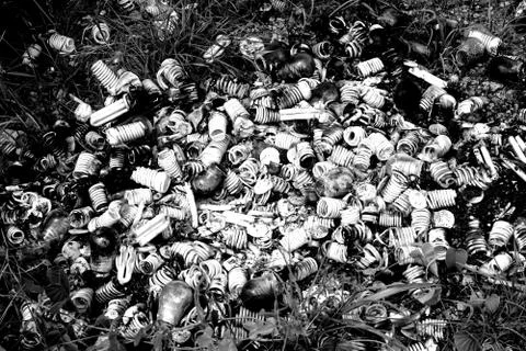 Dump of light bulbs on the roadside make the pollution problem Stock Photos