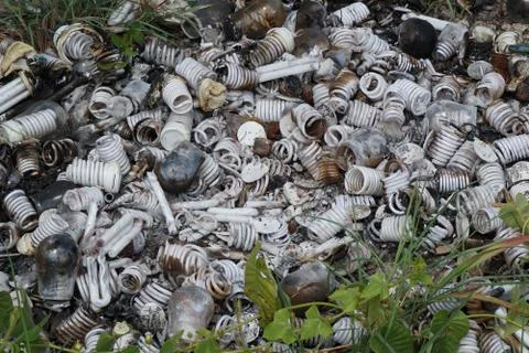 Dump of light bulbs on the roadside make the pollution problem Stock Photos