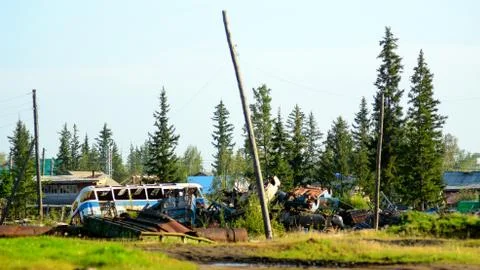 Dump of old metal buses and cars in the village of the North in the forest in Stock-Fotos