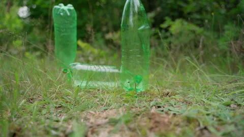 Dump of plastic bottles garbage in forest. Pollution of surrounding atmosphere Stock Footage 158120792