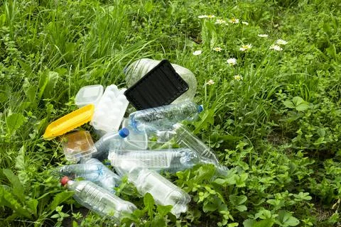 Dump of plastic garbage in the forest or in the meadow near the chamomile Stock Photos