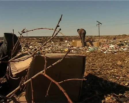 A dump site kid finds a card board box Stock Footage 11496978