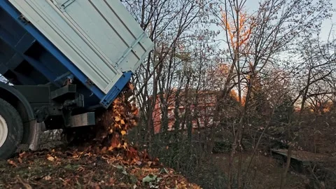 Dump truck with raised bed unloading collected autumn leaves into roadside ditch Stock Footage 324847527