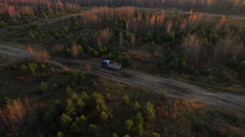 Dump Truck transported sand on forest road in forest. Vidéo 169115142