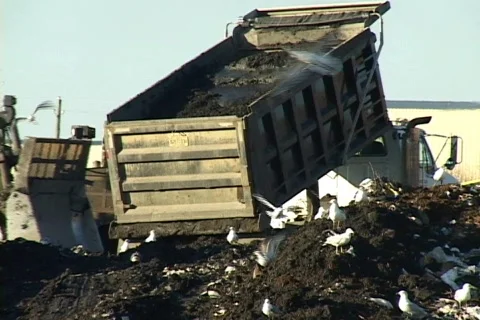 Dump Truck Unloading Vidéo 831583