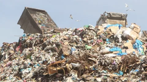 Dump trucks dump garbage in a huge pile Stock Footage 197627247