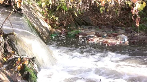 Dump waste organic and plastic in water sewage river trash pollution rubbis.. Stock Footage 272458679