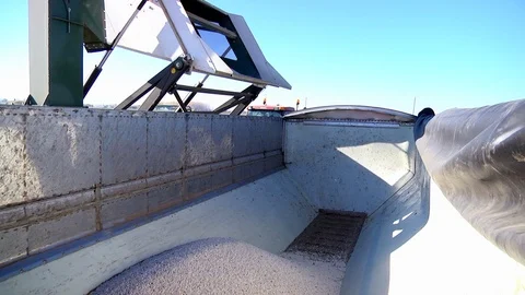 Dumping the beans into a truck on the farm Stock Footage 112737075