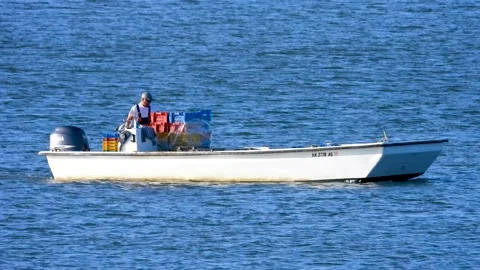 Dumping Clam shells Stock Footage 142325892