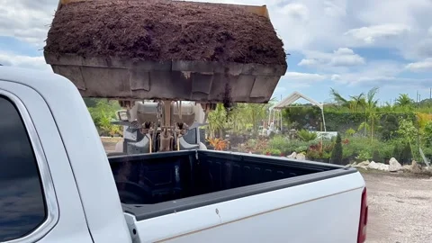 Dumping dirt on truck Stock Footage 270486478